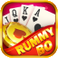 rummy tiger 51 download