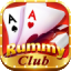 9 rummy